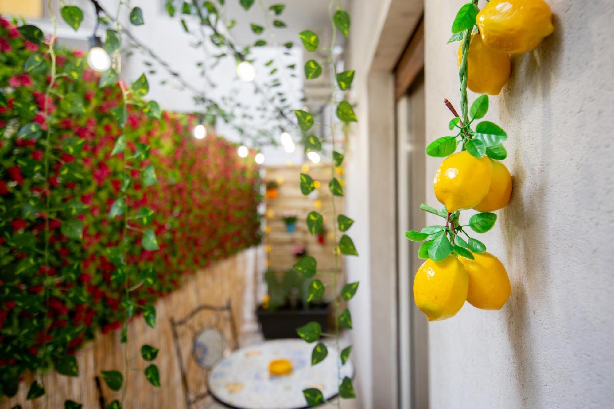 Guest house Terra D'agrumi *